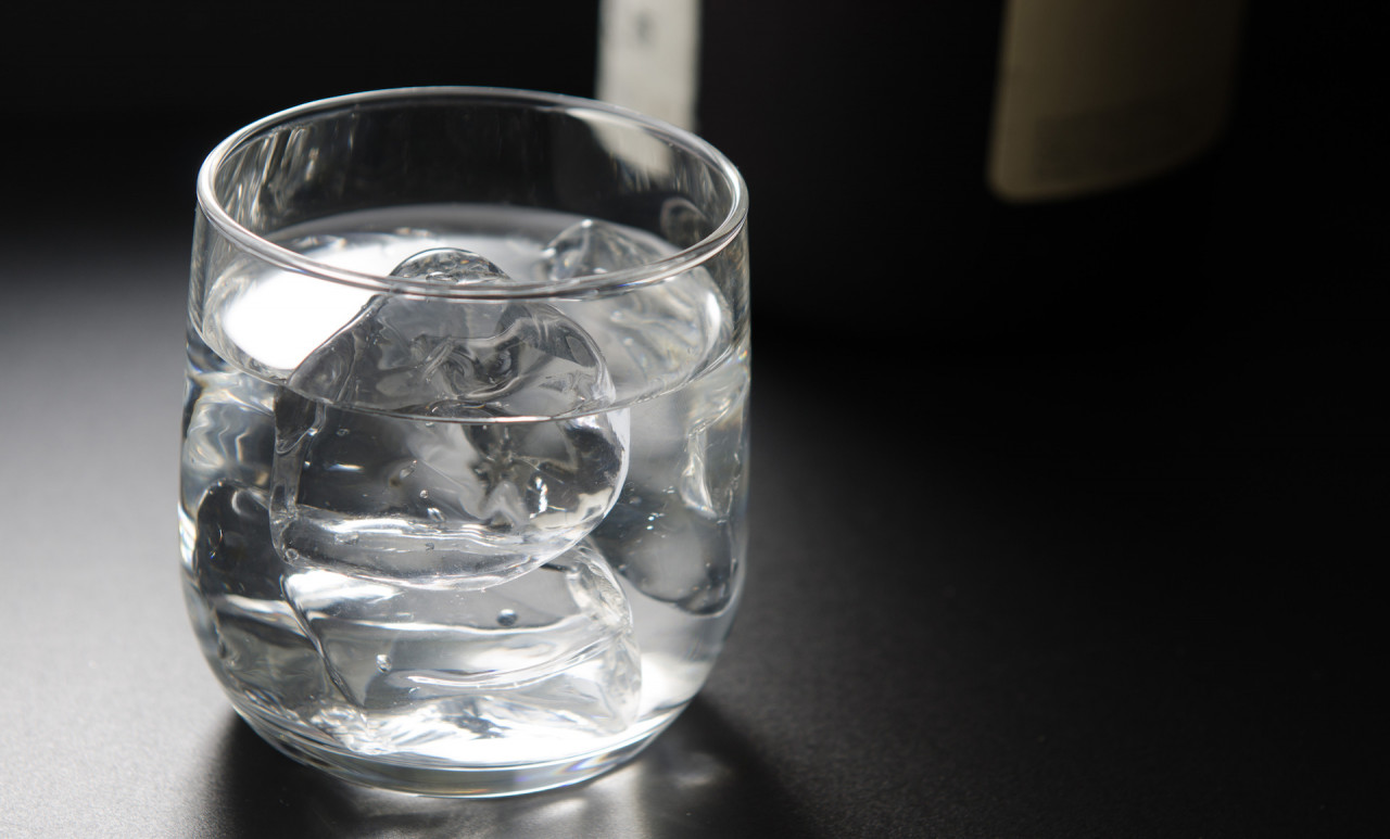 京都伏見稲荷のランチの内容について